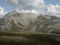 CH, Graubuenden, Zernez, SNP, Munt Chavagl 6, Saxifraga-Jan van der Straaten